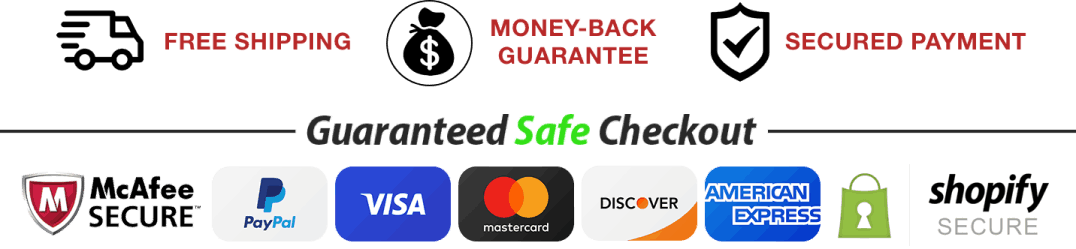 FlowForce Max Secure Payment